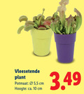 klik op dit plaatje voor een vergroting en voor vergelijkbare aanbiedingen gerelateerd aan ` kamerplanten 10 vleesetende plant potmaat 5 cm hoogte ca. ` kamerplanten 10 vleesetende plant potmaat 5 cm hoogte ca.