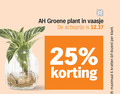 klik op dit plaatje voor een vergroting en voor vergelijkbare aanbiedingen gerelateerd aan ` kamerplanten 6 25 groene plant vaasje actieprijs maximaal kratten dozen ` kamerplanten 6 25 groene plant vaasje actieprijs maximaal kratten dozen