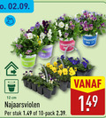klik op dit plaatje voor een vergroting en voor vergelijkbare aanbiedingen gerelateerd aan ` violen 10 12 cm najaarsviolen stuk pack ` violen 10 12 cm najaarsviolen stuk pack
