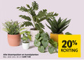 klik op dit plaatje voor een vergroting en voor vergelijkbare aanbiedingen gerelateerd aan ` kunstplanten bloempotten 20 32 vera cm ` kunstplanten bloempotten 20 32 vera cm