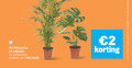 klik op dit plaatje voor een vergroting en voor vergelijkbare aanbiedingen gerelateerd aan ` 1 2 monstera varieeren combinatie ` 1 2 monstera varieeren combinatie