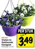 klik op dit plaatje voor een vergroting en voor vergelijkbare aanbiedingen gerelateerd aan ` violen gekleurde hangpot potmaat cm stuk ` violen gekleurde hangpot potmaat cm stuk