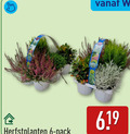 klik op dit plaatje voor een vergroting en voor vergelijkbare aanbiedingen gerelateerd aan ` heideplanten 6 herfstplanten pack ` heideplanten 6 herfstplanten pack