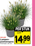 klik op dit plaatje voor een vergroting en voor vergelijkbare aanbiedingen gerelateerd aan ` kamerplanten 26 lampen potmaat cm stuk ` kamerplanten 26 lampen potmaat cm stuk