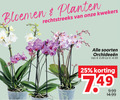 klik op dit plaatje voor een vergroting en voor vergelijkbare aanbiedingen gerelateerd aan ` orchidee 25 bloemen planten kwekers soorten ` orchidee 25 bloemen planten kwekers soorten