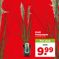 klik op dit plaatje voor een vergroting en voor vergelijkbare aanbiedingen gerelateerd aan ` tuinplanten 19 pampasgras potmaat cm stuk ` tuinplanten 19 pampasgras potmaat cm stuk
