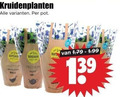 klik op dit plaatje voor een vergroting en voor vergelijkbare aanbiedingen gerelateerd aan ` kruidenplanten pot buys premium basil munt ` kruidenplanten pot buys premium basil munt