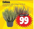 klik op dit plaatje voor een vergroting en voor vergelijkbare aanbiedingen gerelateerd aan ` 10 25 99 calluna winterharde heide hoogte ca. cm potmaat elders ` 10 25 99 calluna winterharde heide hoogte ca. cm potmaat elders