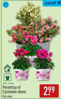 klik op dit plaatje voor een vergroting en voor vergelijkbare aanbiedingen gerelateerd aan ` 12 beautiful pernettya colours cm cyclamen allure stuk ` 12 beautiful pernettya colours cm cyclamen allure stuk