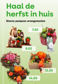 klik op dit plaatje voor een vergroting en voor vergelijkbare aanbiedingen gerelateerd aan ` herfstdecoratie herfst huis pompoen arrangementen ` herfstdecoratie herfst huis pompoen arrangementen