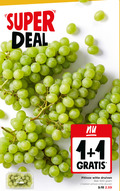 klik op dit plaatje voor een vergroting en voor vergelijkbare aanbiedingen gerelateerd aan ` druiven 1 2 500 super deal jumbo pitloos wit pitloze witte bak bakken ` druiven 1 2 500 super deal jumbo pitloos wit pitloze witte bak bakken