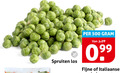 klik op dit plaatje voor een vergroting en voor vergelijkbare aanbiedingen gerelateerd aan ` spruitjes 500 spruiten fijne italiaanse ` spruitjes 500 spruiten fijne italiaanse