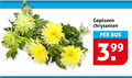 klik op dit plaatje voor een vergroting en voor vergelijkbare aanbiedingen gerelateerd aan ` geplozen chrysanten bos ` geplozen chrysanten bos