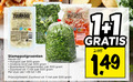 klik op dit plaatje voor een vergroting en voor vergelijkbare aanbiedingen gerelateerd aan ` hutspot groenten boerenkool andijvie zuurkool 1 300 400 500 stamppotgroenten zak grof fijngesneden pak stuk ` hutspot groenten boerenkool andijvie zuurkool 1 300 400 500 stamppotgroenten zak grof fijngesneden pak stuk