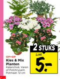 klik op dit plaatje voor een vergroting en voor vergelijkbare aanbiedingen gerelateerd aan ` 2 12 mix planten varen potchrysant potmaat cm stuks ` 2 12 mix planten varen potchrysant potmaat cm stuks
