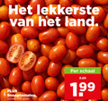 klik op dit plaatje voor een vergroting en voor vergelijkbare aanbiedingen gerelateerd aan ` 500 land snoeptomaten schaal ` 500 land snoeptomaten schaal