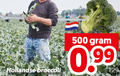 klik op dit plaatje voor een vergroting en voor vergelijkbare aanbiedingen gerelateerd aan ` broccoli 500 hollandse ` broccoli 500 hollandse