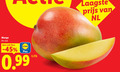 klik op dit plaatje voor een vergroting en voor vergelijkbare aanbiedingen gerelateerd aan ` mango stuk nl ` mango stuk nl