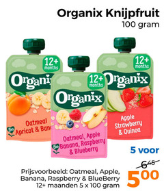  5 100 500 organix knijpfruit bio 12 oatmeal apricot apple banana raspberry blueberry strawberry maanden 