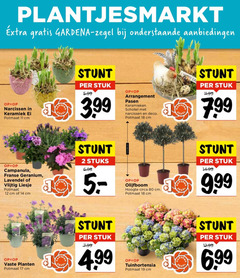  vlijtig liesje tuinhortensia geranium olijfboom 1 2 11 12 14 17 18 19 80 gardena zegel onderstaande narcissen keramiek ei potmaat cm stuk 5.99 3.99 arrangement pasen keramieken schotel deco happy campanula franse lavendel stuks circa hoogte vaste planten 