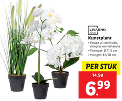  livarno home kunstplant orchidee siergras hortensia potmaat 11 5 cm hoogte 42 stuk 