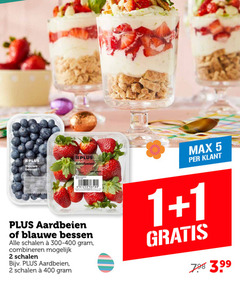  blauwe bessen aardbeien 1 2 3 5 200 400 new retail utrecht grated schalen combineren 3.99 