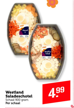  westland saladeschotel russisch 3.99 salade schaal 