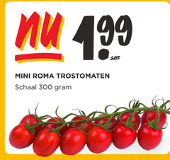  300 mini roma trostomaten schaal 