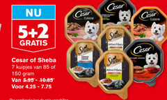  2 5 7 150 cesar sheba kuipjes cuisine sauce lover classic mini filets saus terrine 