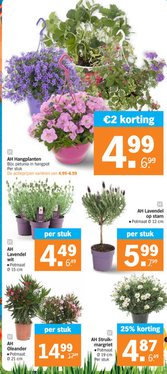  2 12 15 19 25 week hangplanten petunia hangpot stuk varieeren lavendel wit potmaat cm stam oleander struik margriet 