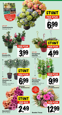  7 10 12 17 18 19 20 25 circa cm potgrond tuinaarde liter tuinhortensia potmaat stuk 6 99 3.99 hangplant petunia margriet stam hoogte 19cm dagen vaasgarantie piramide tip dag bos stelen boeket tessa 