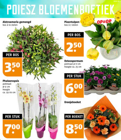  7 10 12 16 17 25 250 350 700 alstroemeria gemengd bos stelen pioentulpen osteospermum potmaat cm hoogte ca. phalaenopsis stuk 00 60 oranjeboeket boeket week 