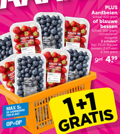  1 2 300 400 nederlandse aardbeien klasse nederland blauwe bessen id verpakt land schaal combineren schalen inhoud lauwe essen rus 5x aanbieding 