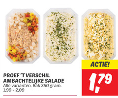  350 proef ambachtelijke salade bak 1 99 2 