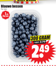  300 blauwe bessen bak 