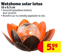  6 16 watshome solar lotus cm oplaadbare batterij zonlicht brandt uur opgeladen 