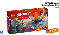  6 jaar lego young dragon dragons rising jonge draak 