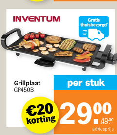  20 2900 inventum grillplaat stuk 