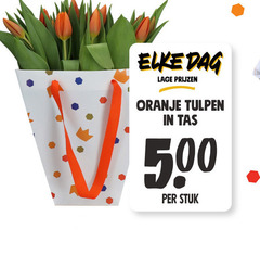  dag lage oranje tulpen tas stuk 