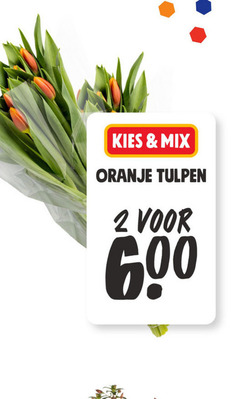  2 600 mix oranje tulpen 