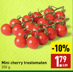  250 mini cherry trostomaten 17 