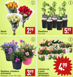  4 15 rozen bos bloemen armeria passiflora stuk 2 99 gardenline geranium hangend stuks fuchsia mix tx dianthus potmaat cm pack geraniums 