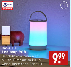  3jaar ledlamp rgb binnen buiten dimbaar kleur wissel instelbaar stuk 