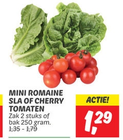  2 250 mini romaine sla cherry tomaten zak stuks bak 1 