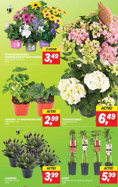  2 11 13 14 15 17 23 99 lips spaanse margriet zonnebloem potmaat cm 4 3 aardbei tuinhortensia 8 6 lavendel roos kleuren 7 5 