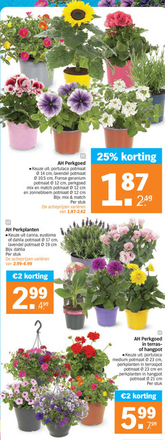  2 12 14 17 19 23 25 perkgoed potmaat cm lavendel franse geranium mix match zonnebloem stuk varieeren perkplanten canna eustoma dahlia pink terras hangpot medium terraspot 9 