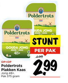  kaasplakken 25 gouda jong x15 jung 48 kaas pak 