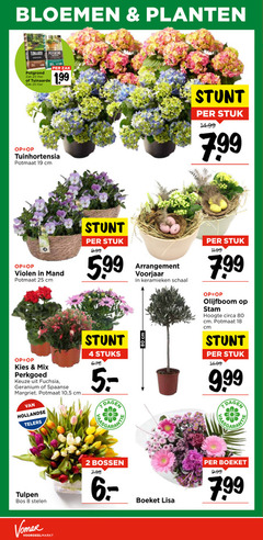  tuinhortensia 2 4 8 18 19 20 25 80 bloemen planten potgrond zak liter tuinaarde potmaat cm violen mand stuk 5 99 arrangement voorjaar keramieken schaal mix perkgoed fuchsia geranium spaanse margriet 10 hollandse telers stuks dagen tulpen bos stelen olijfboom stam hoogte circa bossen boeket lisa 