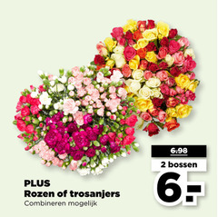  2 rozen trosanjers combineren bossen 