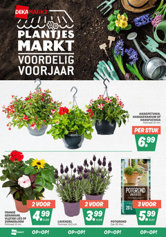  2 3 12 20 plantjes markt voorjaar hangpetunia hanggeranium potmaat cm stuk franse geranium vlijtige lies zonnebloem 5.99 lavendel potgrond zak liter l 